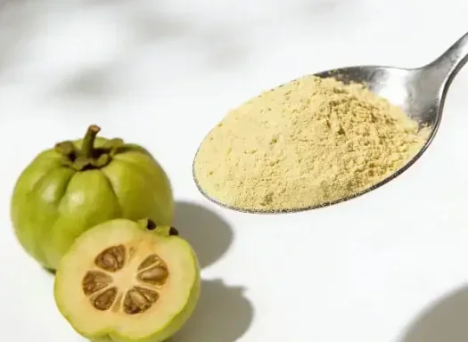 Whole garcinia fruits and a cut one