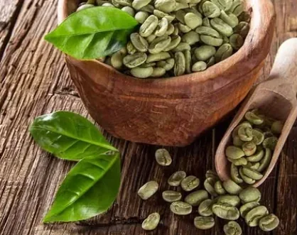 Unroasted green coffee beans in a wooden bowl