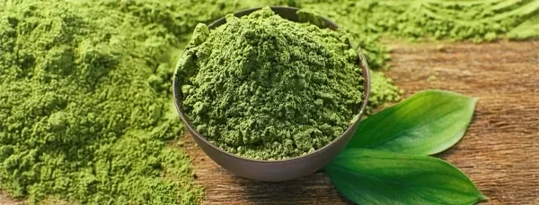 Green tea leaves and a cup of tea